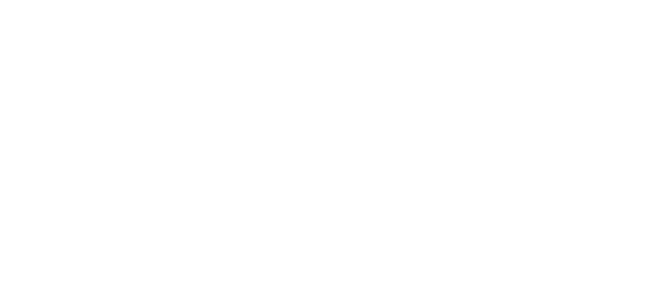 Mamori Data